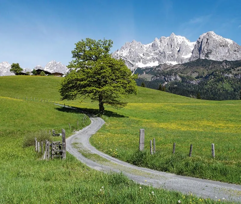 oberndorf