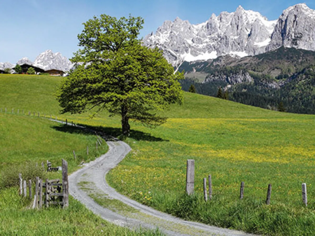 oberndorf